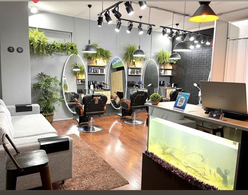 Vista del salón desde la entrada: sofá de espera, acuario y mostrador